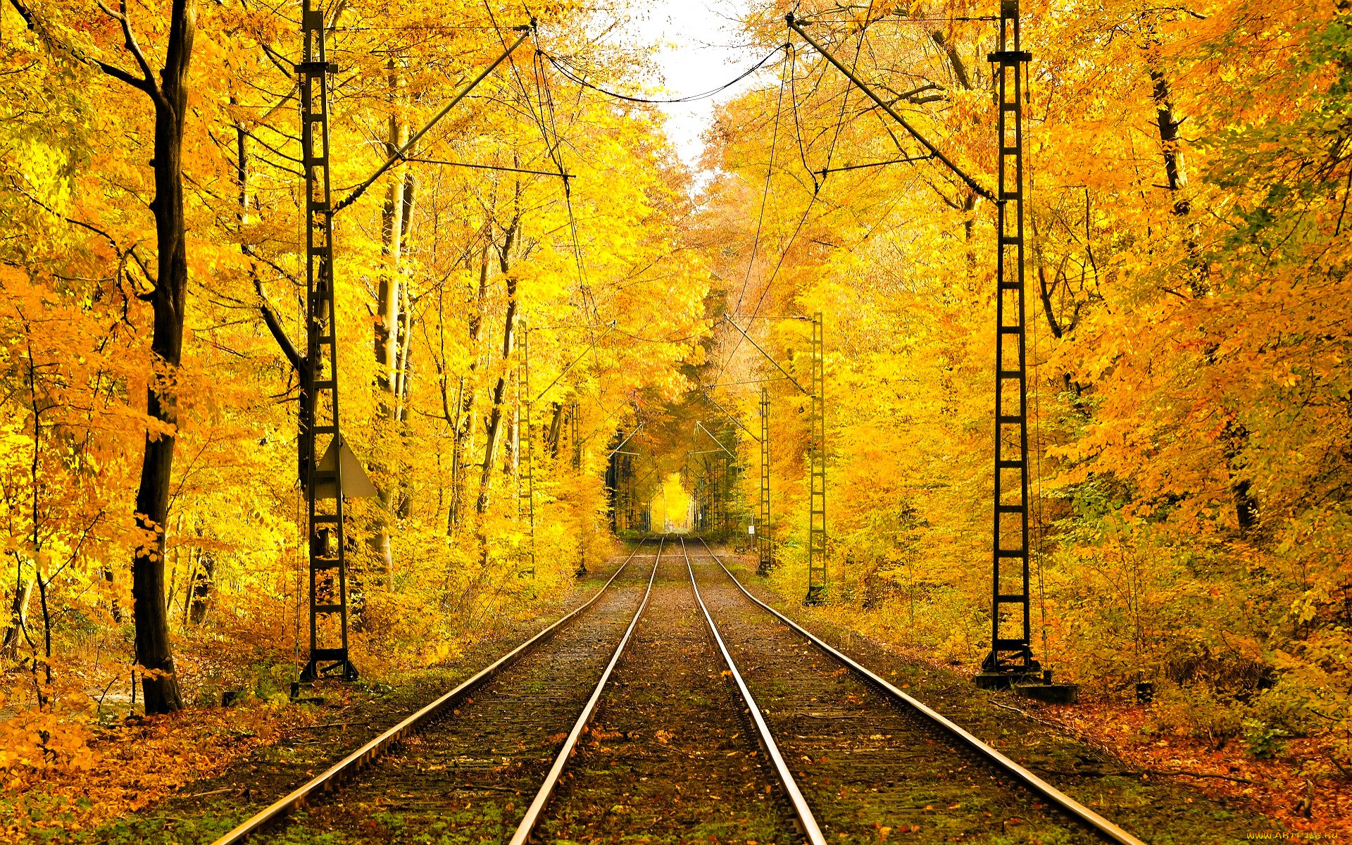 ������, ������������ �������� � ����������, ���, �������, �����, �������, ������, ��������, ������